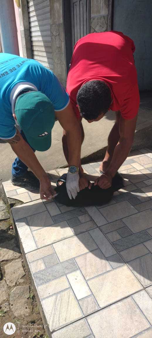 Camacã: Prefeitura realiza campanha de Vacinação antirrábica